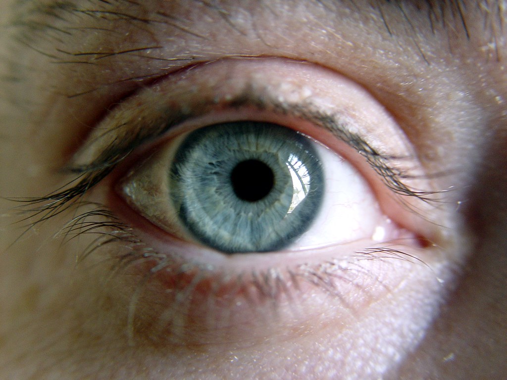 Feb 23 2011 [Day 114] “Keeping An Eye On Things'